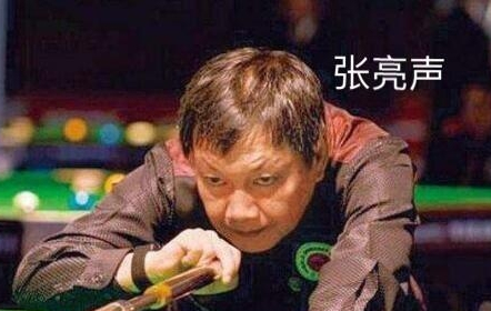 向华波_华波书法_华波宠物医院