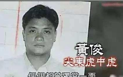 华波书法_华波宠物医院_向华波
