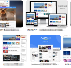 JustNews 主题破解版：诱惑与风险并存，站长需谨慎权衡-东山笔记