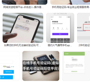 手机验证码接收平台：便捷背后的安全隐患与个人信息保护-东山笔记