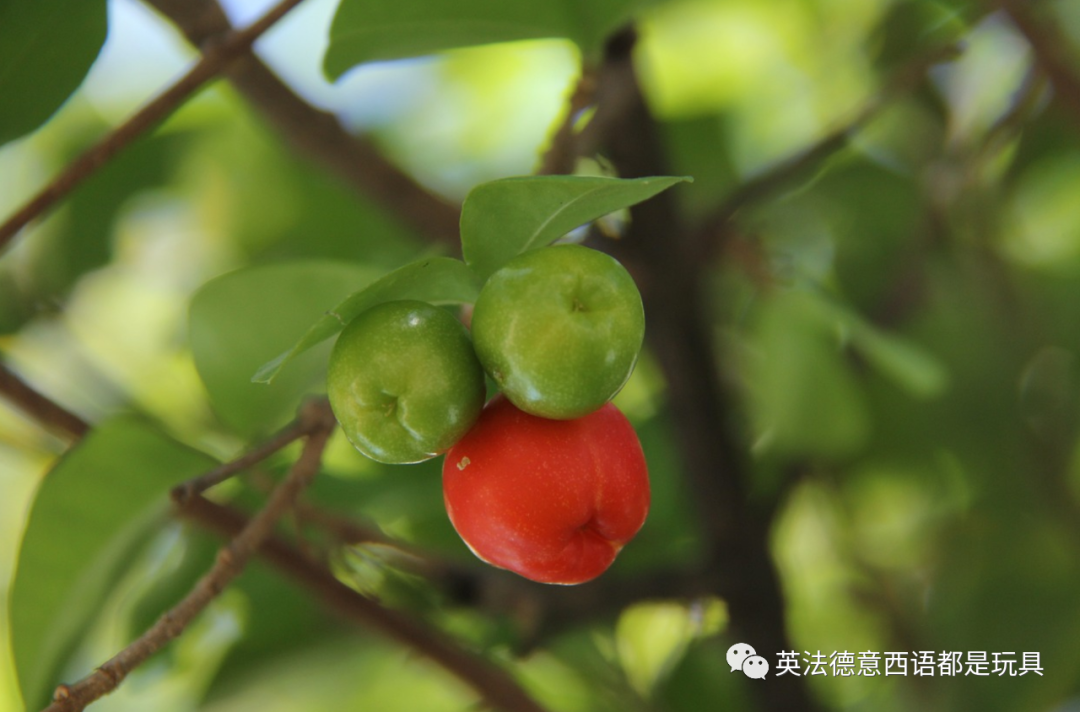 特别提醒：帮助孩子利用英语学习数理化，考入理想大学的关键-东山笔记