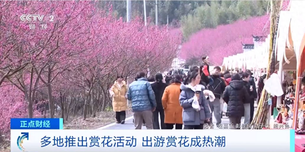 各地推出赏花活动吸引游客，国潮消费成亮点-东山笔记