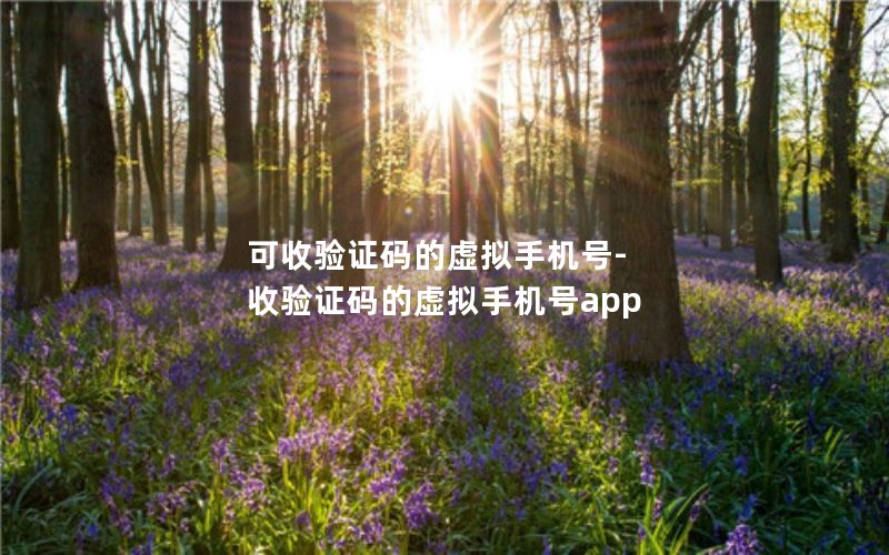 可收验证码的虚拟手机号 APP 推荐，保护隐私安全的首选-东山笔记