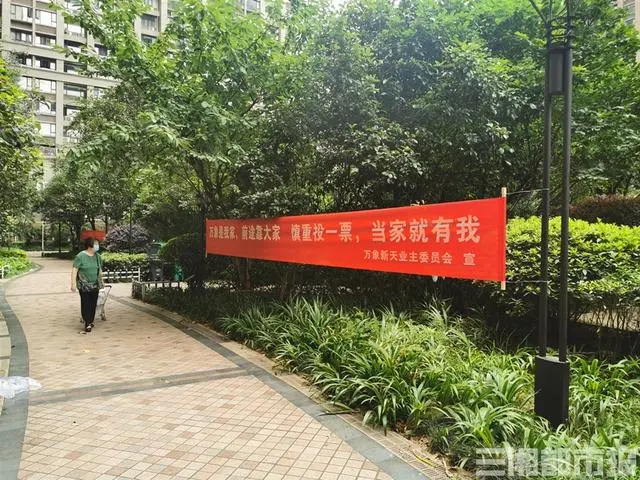 长沙一小区业委会组织投票解聘物业公司遭反对，街道介入监督-东山笔记