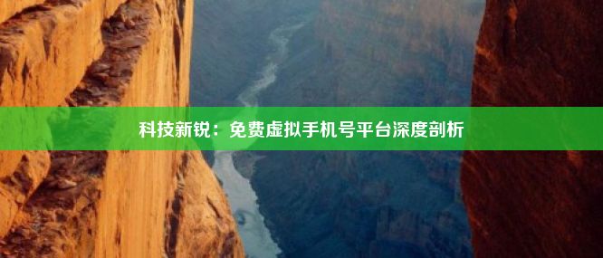 免费虚拟手机号平台：科技魅力背后的便利与隐私保护-东山笔记