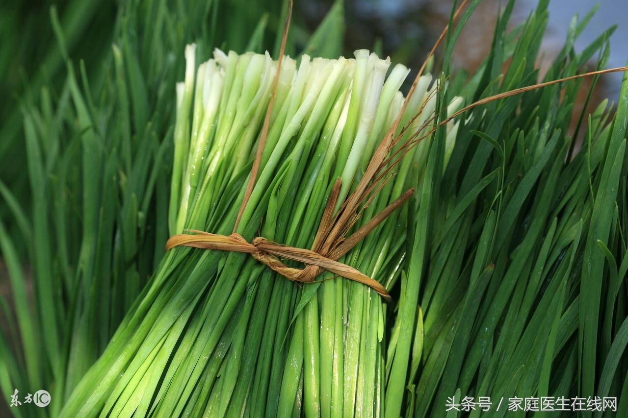 根生胡丽是什么电视剧_同根生_根生植物