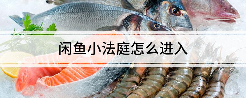 闲鱼APP纠纷处理全流程：从进入页面到提交申请仲裁详解-东山笔记