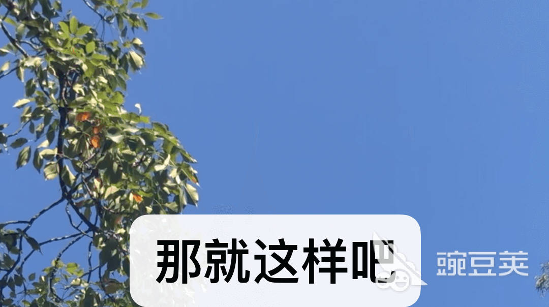 2022手机短信软件排行榜：好用的APP助你便捷接收与提取短信-东山笔记