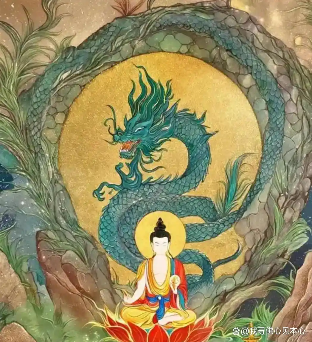 大悲咒的寓意_大悲咒招鬼原因_《大悲咒》修行智慧