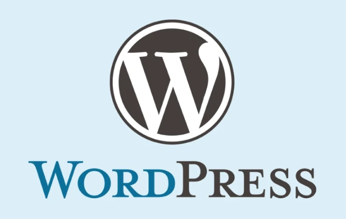 WordPress联合创始人给意见相左员工3万美元离职补偿-东山笔记