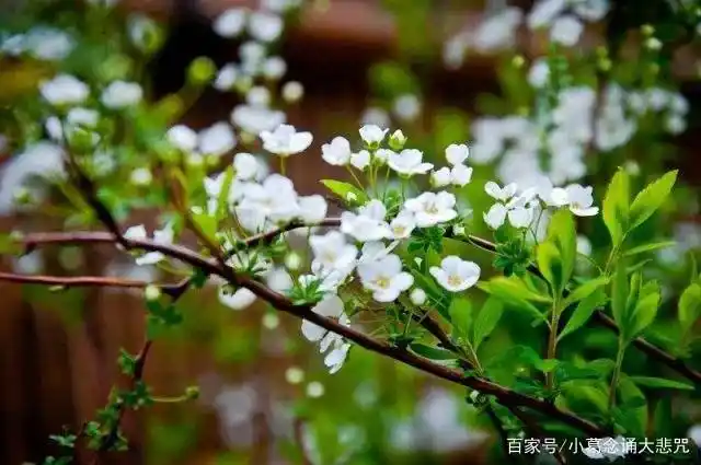 大悲咒全文原文注音_大悲咒修行法门_大悲咒注音学习
