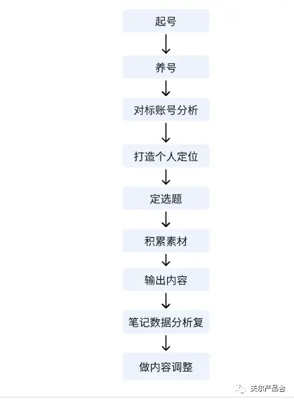 小红书运营方案_小红书IP号起号经验_小红书28天运营复盘