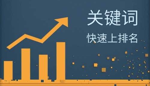网站SEO搜索优化怎么做？先了解这些基础知识很关键-东山笔记