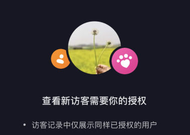 抖音主页访客功能上线！新访客啥意思？几天内的能看到？-东山笔记