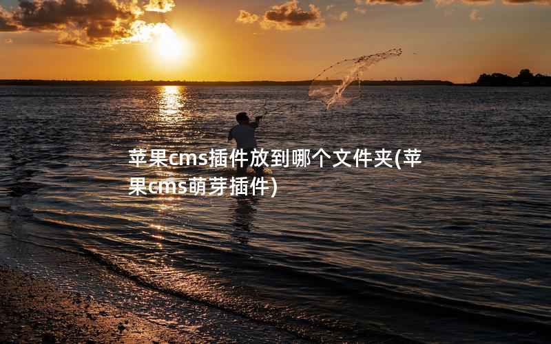 苹果CMS萌芽插件该放哪？一文详解其应放置的文件夹位置-东山笔记