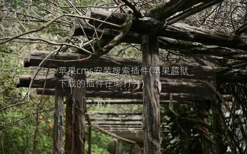 苹果CMS搜索插件安装指南：如何下载、上传及打开？-东山笔记