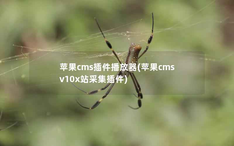 苹果cms v10x站采集插件介绍：播放器使用方法与特点详解-东山笔记