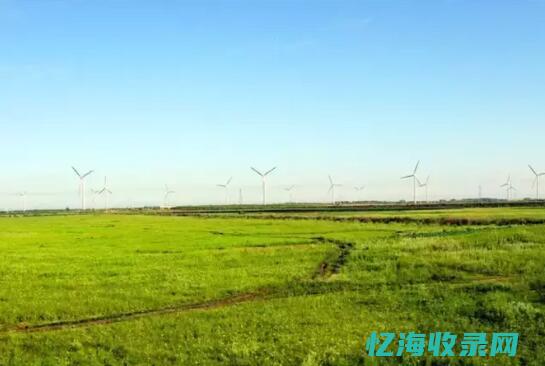 SEO关键词排名优化软件大盘点：网络统计等工具各有啥特色？-东山笔记