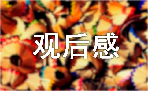 观失恋33天有感：那些令人印象深刻的人与事-东山笔记
