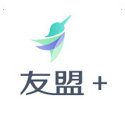 SEO排名软件有哪些功能？自动竞价与排名是关键-东山笔记