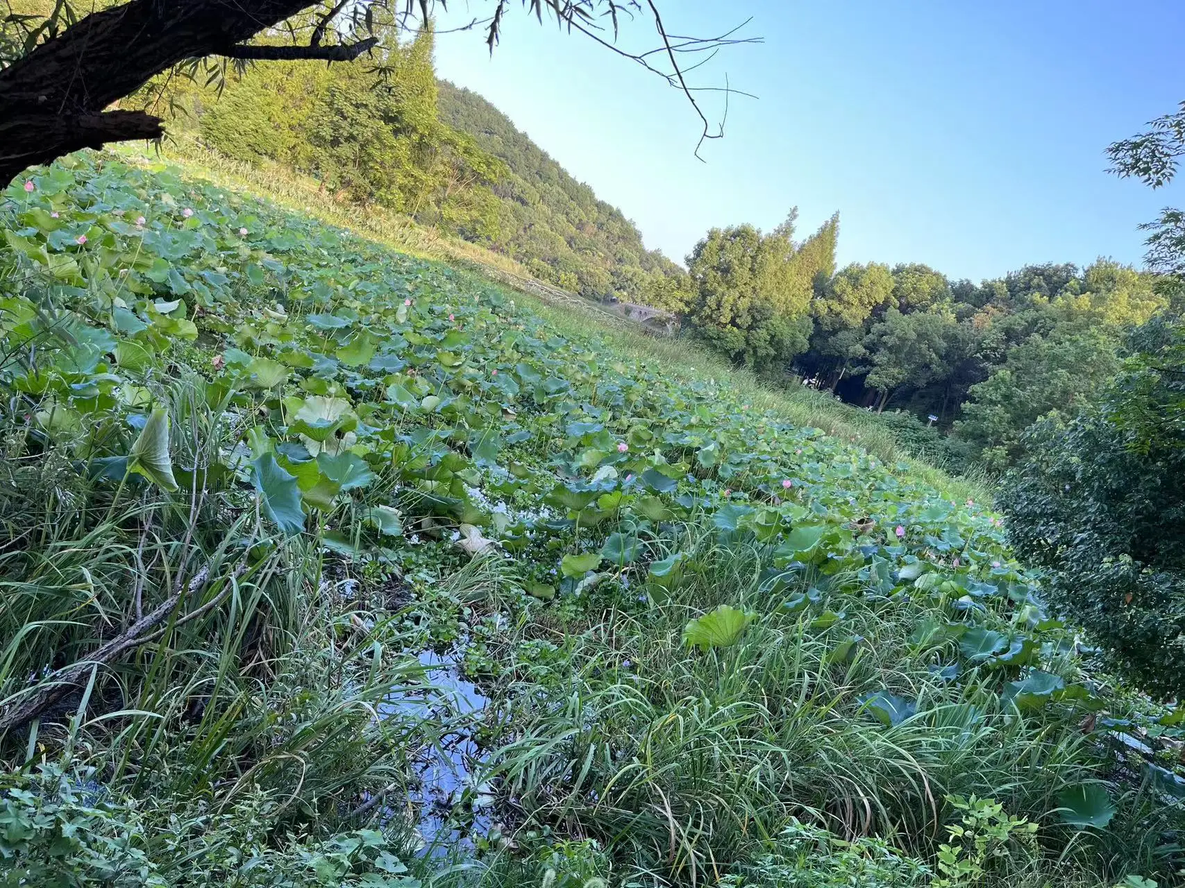 铆工施工简易工具_铆工报考条件_铆工培训