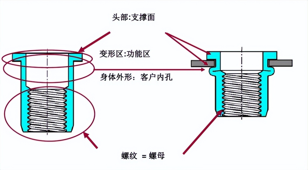 铆螺母_压铆螺母拉铆螺母_铆孔简易拉铆工具